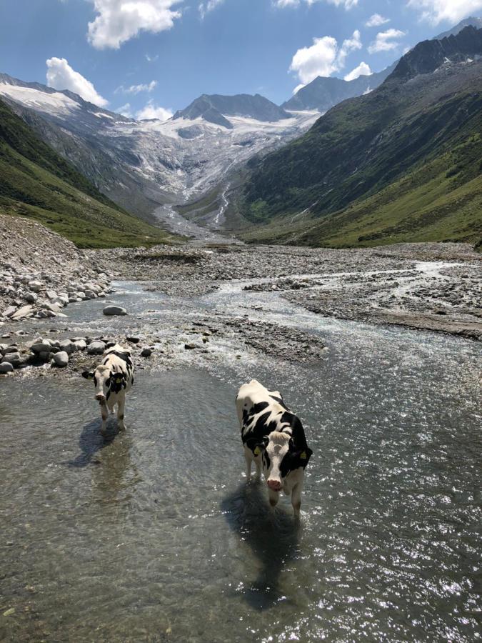 Landhaus Zillertal 람자우 임 질러탈 외부 사진