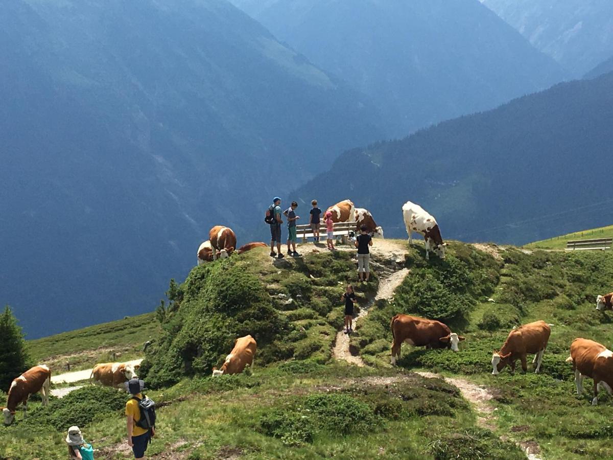 Landhaus Zillertal 람자우 임 질러탈 외부 사진