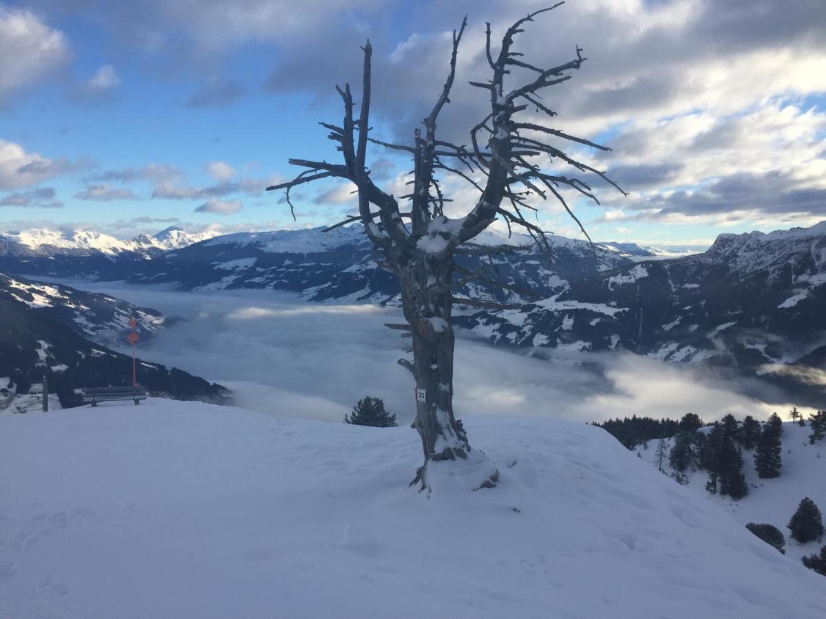 Landhaus Zillertal 람자우 임 질러탈 외부 사진